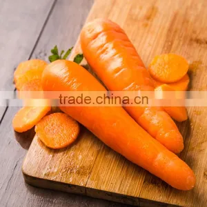 Newest Crop Chinese Fresh Carrots for Sale thumbnail-4