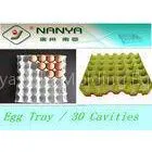 Biodegradable Pulp Moulded Products Disposable Egg Tray With 30 Cavities thumbnail-1