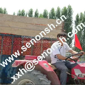 tomato paste production line 025