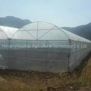 Agricultural Multi-span Hot Galvanized Steel Greenhouse Frame for Tomato thumbnail-5
