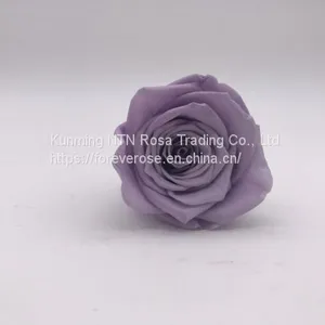 Preserved Flowers for Party Decoration thumbnail-5