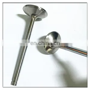 OEM Car Spare Parts For Nisan TIIDA Hatchback C12 1.6 1.8 HR16DE MR16DDT MRA8de Engine Valves thumbnail-2