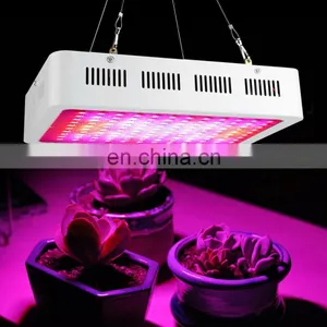 300W 600W 800W 1000W 1200W 1500W 1800W 2000W Full Spectrum Double Chip Led Indoor Plants Grow Light thumbnail-6