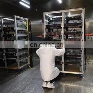 Liyi Temperature And Humidity Test Room Custom Walk In Environmental Chamber thumbnail-7