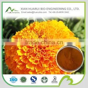 100% Natural Marigold Extract Lutein Powder 10% thumbnail-1