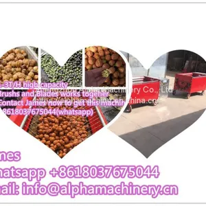 Green Walnut Washing Peeling Machine Walnut Peeler Machine thumbnail-4