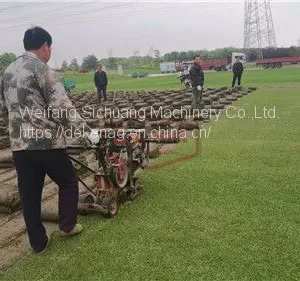 Lawn Care Professional Sod Cutter thumbnail-1