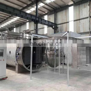 Fruit Vegetable Vacuum Lyophilizer Equipment Freeze Dryer Lyophilizer thumbnail-2