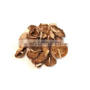 High Quality Dried Straw Mushroom/Wholesale Bulk Mushroom From Vietnam thumbnail-2