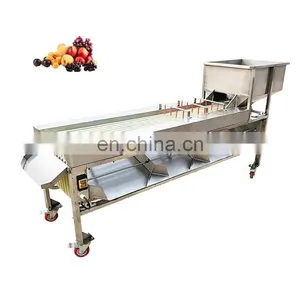 Apple Grading Machine/Potato Sorting Machine/Apple Sorting Machine. thumbnail-1