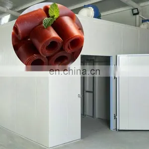 Commercial Fruit Leather Snack Production Line thumbnail-5