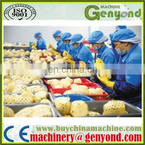 Canned Pineapple Chunks Production Line thumbnail-5