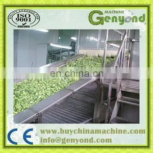Small Capacity Vegetable Bean Quick Freezing Machine thumbnail-2