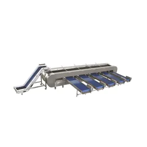 Cherry Selecting Machine/roller Dates Grading Machine /fruit Selecting Machine for Apricot/cherry /plum thumbnail-1