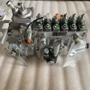SDLG 4110002373013 13060637 Fuel Injection Pump Asse 17.6kg for G9180 With Good Price thumbnail-2