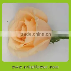 Diversified in Packaging Classical New Arrival Rose Floral thumbnail-5