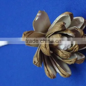 Sola Flower thumbnail-4