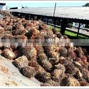 Professional Palm Oil Fractionation Line thumbnail-6