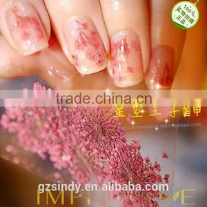 Hot Sell Nail Art Natural Dried Flowers for Nail Art Decoration,nail Accessory ZX:GH746 thumbnail-1