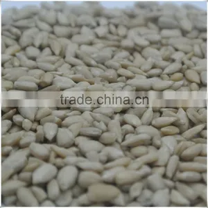 Sunflower Kernels Bakery thumbnail-2