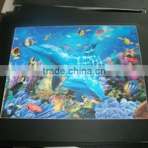3D Sea Animal Frame Photos 3D Lenticular Framed Wall Photo thumbnail-1