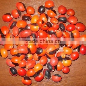 Huayruru Seeds' Beads thumbnail-1