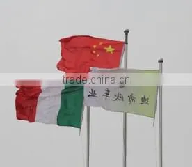 Tianjin Deseo Bicycle Co., Ltd. company overview - view 3 thumbnail