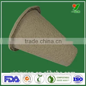 SGS Eco Friendly Disposable Paper Pulp Molded Packaging,disposable Paper Pulp Tray thumbnail-1