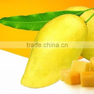 Mango Puree Juice thumbnail-1