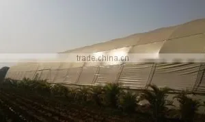 Greenhouse Film thumbnail-1