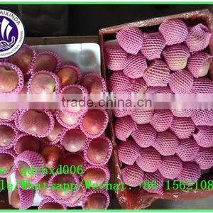2015 Fresh Fuji Apple on Sale in Hot Sale Season With High Quality and Lowest Price thumbnail-4