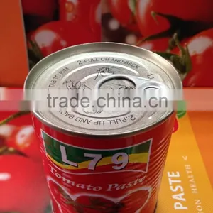 Manufacturer 28%-30% Natural Canned China Tomato Paste 800g Tin Factory Double Concentrated thumbnail-1