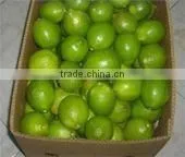 Fresh Lime thumbnail-2