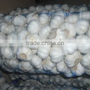 2015 China New Common White Garlic thumbnail-2