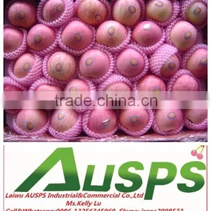 Chinese Fresh Fuji Apple thumbnail-3