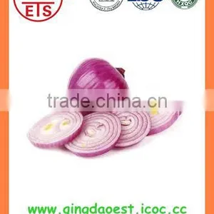 Best Quality Fresh Products Red/yellow Onion From China thumbnail-6