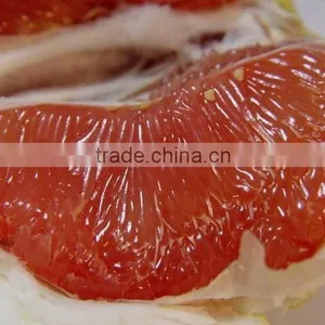 Pomelo thumbnail-6
