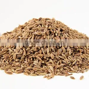 Dill Seeds thumbnail-1