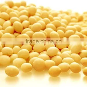High Quality Soy Fiber thumbnail-1