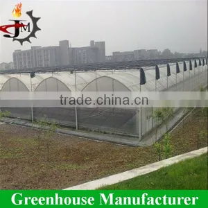 Gold Quality uv Resistant Large Polytunnel Plastic Greenhouse thumbnail-2