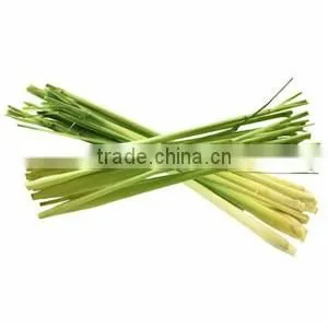 100% Pure & Natural Lemongrass Oil thumbnail-1