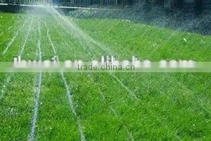 Soft Drip Irrigation Pipe Fitting Garden Micro Spray Tape Made in China thumbnail-6