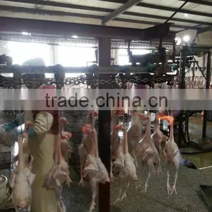 Poultry Slaughter Plant for Broilers/Slaughtering Plant in China/ Poultry Hanging and Slaughtering Conveying Line thumbnail-3