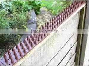 Plastic Anti Bird Pigeon Control Spikes Strips Bird Products Supplies thumbnail-1