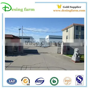 Hot Dip Galvanized Car Box Trailer thumbnail-4