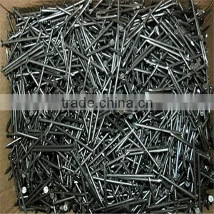 Common Nail / Common Wire Nail / Common Iron Nail thumbnail-2