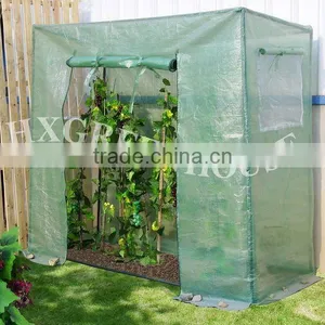 Planting Tomatos in the Tomato Greenhouse thumbnail-1