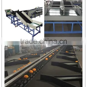 Hot Sale Apple and Orange Grading/Sorting Machine thumbnail-5