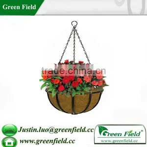 Green Field Garden Plant Containers thumbnail-1