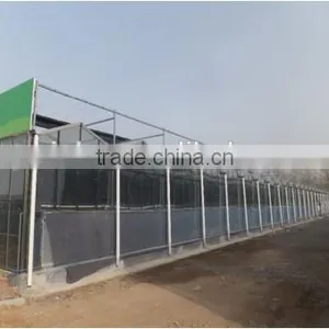 Greenhouse Roofing Plastic, Polycarbonate Greenhouse Plastic Roofing Cheap Big Sale thumbnail-1